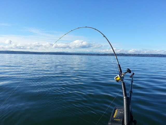 Float Fishing– Seattle Fishing Company