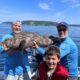 Monster Lingcod