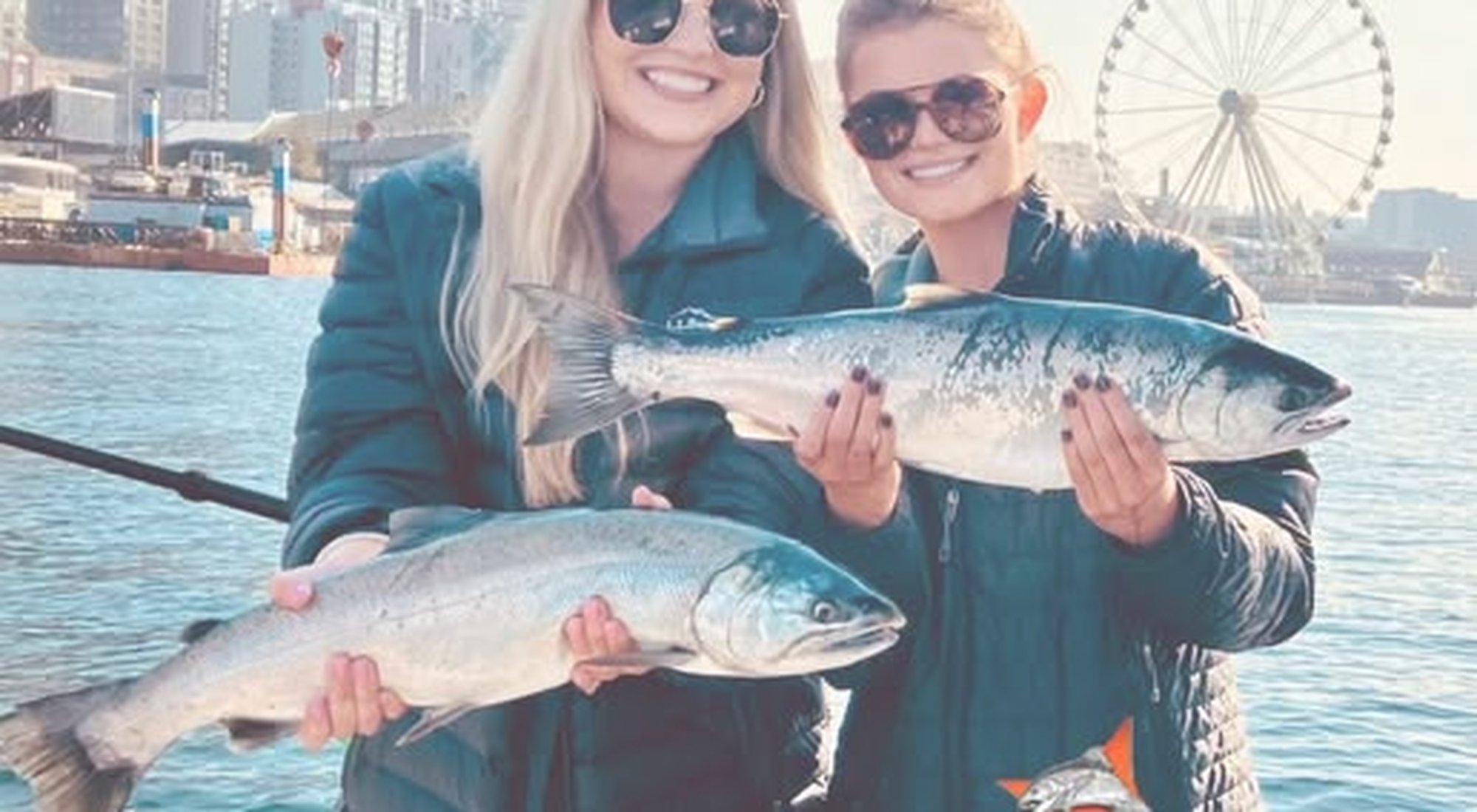 Coho Salmon