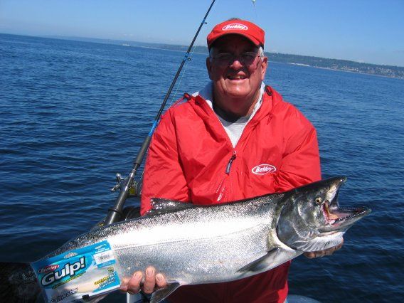 Seattle fishing charter with Captain landing a large King Salmon on Puget Sound with All Star Fishing Charters
