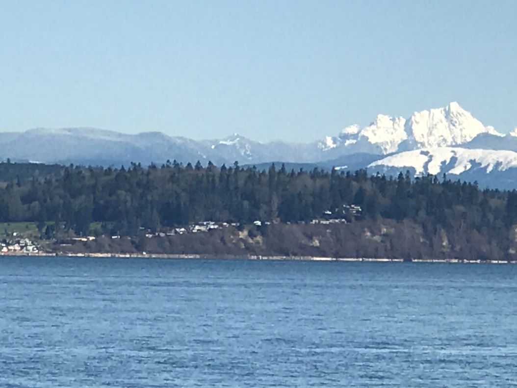 Scenic view of Puget Sound with forested shoreline and snow-covered mountains in the distance.